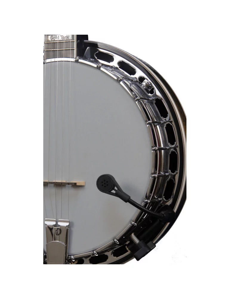 GOLD TONE ABS-D | MusicGoodDeal