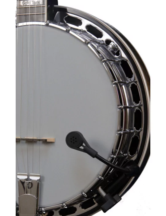 GOLD TONE ABS-D | MusicGoodDeal
