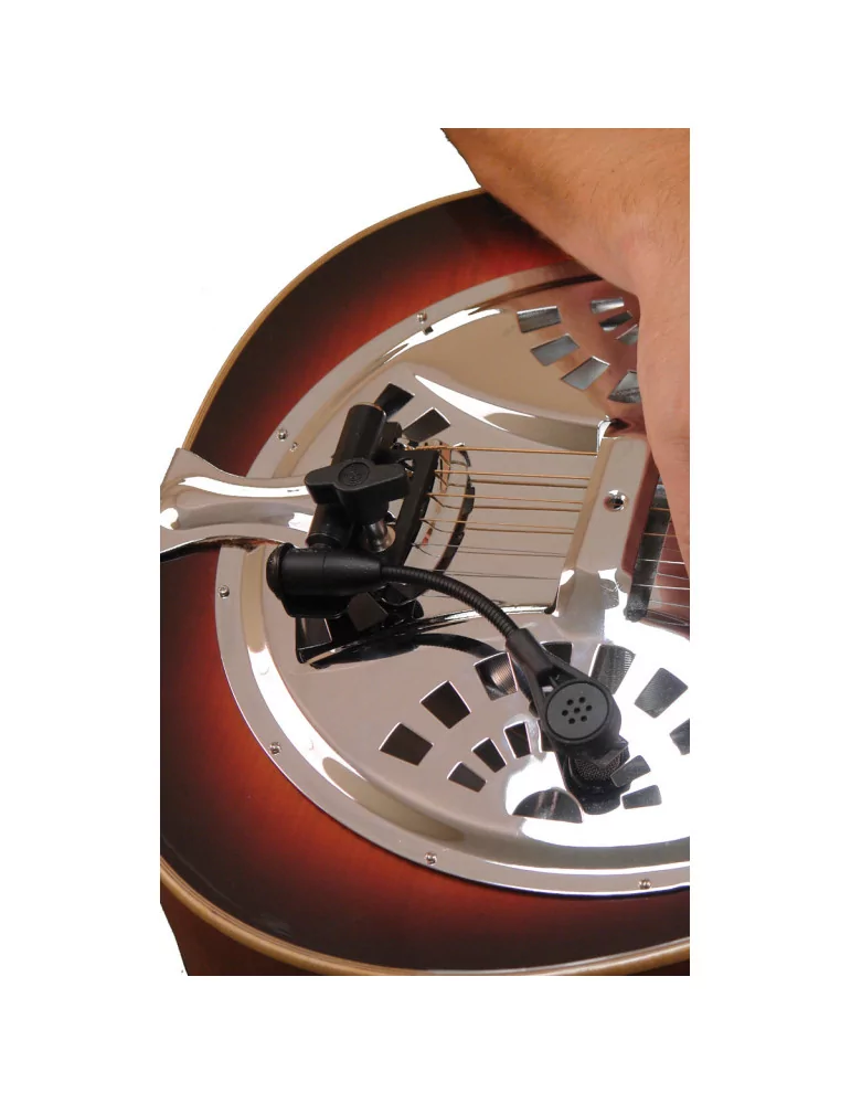 GOLD TONE ABS-D | MusicGoodDeal