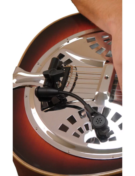 GOLD TONE ABS-D | MusicGoodDeal
