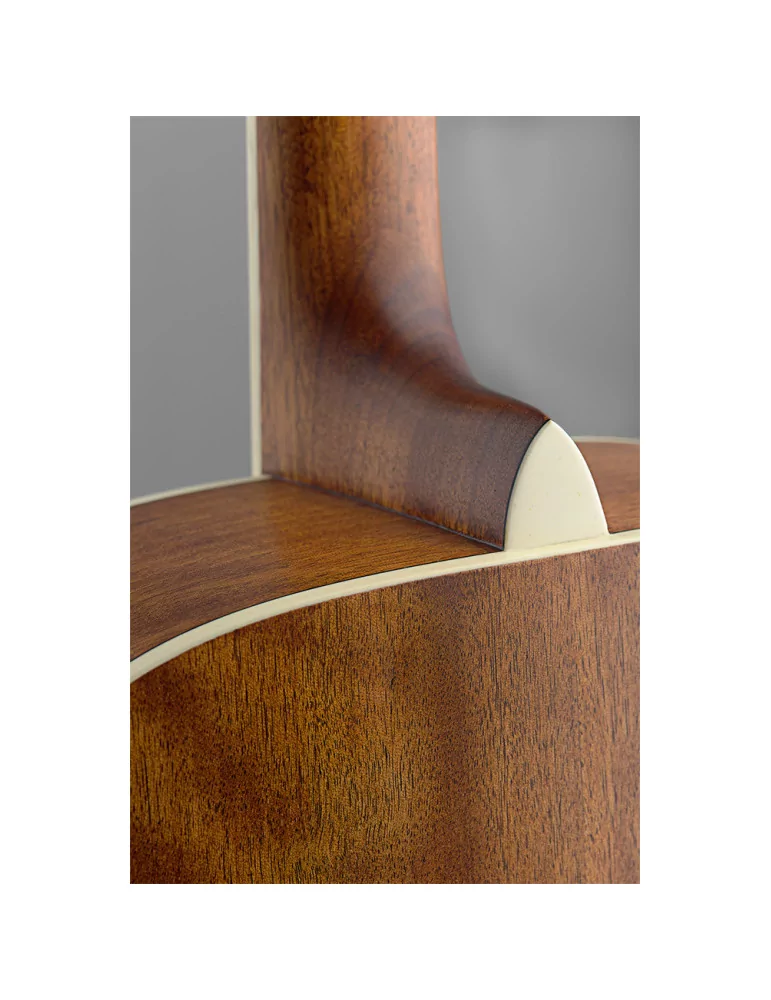  J.N GUITARS ASY-D Guitarra acústica dreadnought 4/4 con tapa de abeto macizo, serie Asyla|MusicGoodDeal 