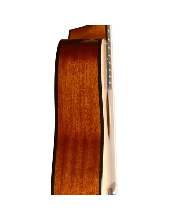  J.N GUITARS BES-A N Guitarra acústica de auditorio en color natural con tapa de epica maciza, serie Bessie|MusicGoodDeal 