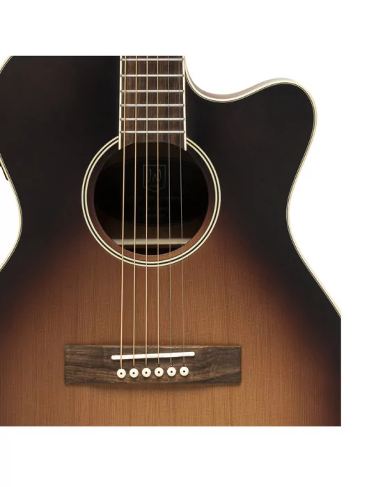  J.N GUITARS EZR-OM Guitarra acústica de orquesta con tapa de cedro macizo, serie Ezra|MusicGoodDeal 