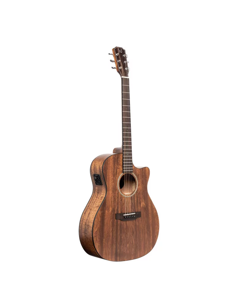 J.N GUITARS DOV-ACFI | MusicGoodDeal