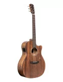 J.N GUITARS DOV-ACFI | MusicGoodDeal