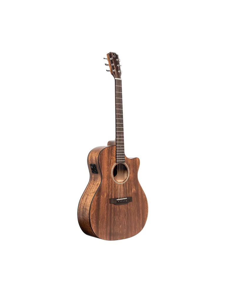 J.N GUITARS DOV-ACFI | MusicGoodDeal