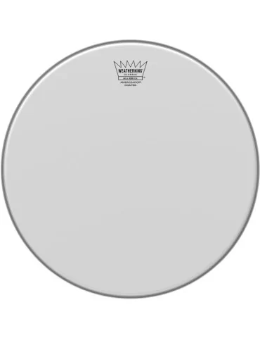  REMO CL-0114-BA 14" Ambassador coated batter for vintage and custom drums (Classic Fit)|MusicGoodDeal 