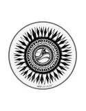  REMO PE-0010-AB-003 Artbeat Skyndeep Emperor clear batter drumhead, 10", New Sun|MusicGoodDeal 