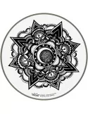  REMO PE-0013-AB-005 Artbeat Skyndeep Emperor Clear batter drumhead, 13", Nocturnal Bloom|MusicGoodDeal 