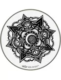  REMO PE-0014-AB-005 Artbeat Skyndeep Emperor Clear batter drumhead, 14", Nocturnal Bloom|MusicGoodDeal 