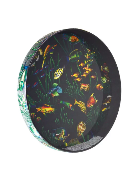  REMO ET-0222-10 2.5x22" OCEAN DRUM - FISH|MusicGoodDeal 