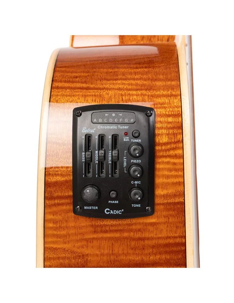 STAGG SA45 DCE-FM 12 | MusicGoodDeal