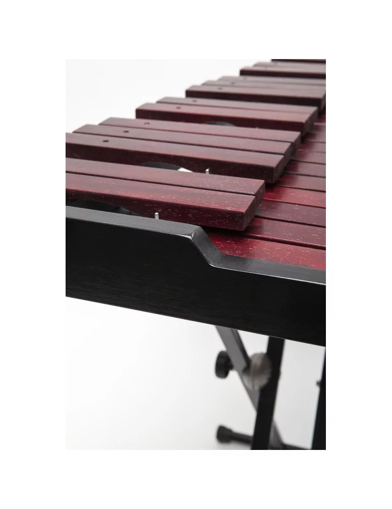  STAGG XYLO-SET 37 Xilófono de 37 teclas - con mazos y soporte|MusicGoodDeal 