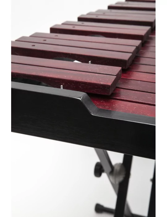  STAGG XYLO-SET 37 Xilófono de 37 teclas - con mazos y soporte|MusicGoodDeal 