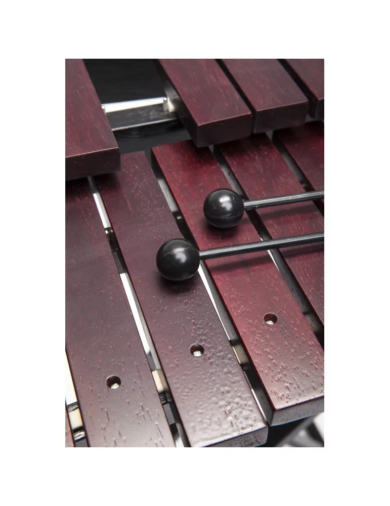  STAGG XYLO-SET 37 Xilófono de 37 teclas - con mazos y soporte|MusicGoodDeal 