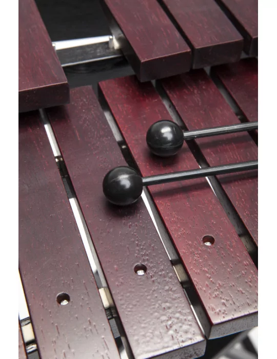  STAGG XYLO-SET 37 Xilófono de 37 teclas - con mazos y soporte|MusicGoodDeal 