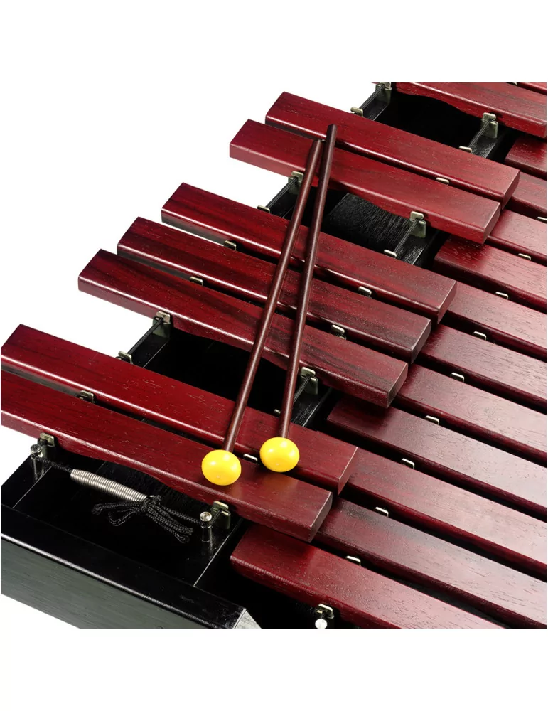  STAGG XYLO-SET 37 HG Juego de xilófono profesional, 37 palas, modelo de mesa|MusicGoodDeal 