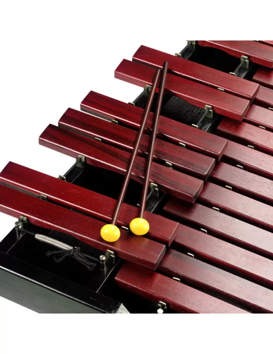  STAGG XYLO-SET 37 HG Juego de xilófono profesional, 37 palas, modelo de mesa|MusicGoodDeal 