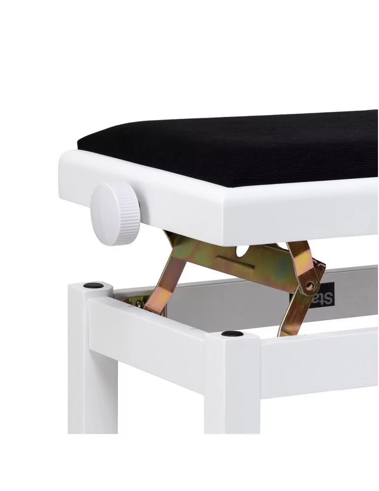 STAGG PB06G WHM VBK | MusicGoodDeal