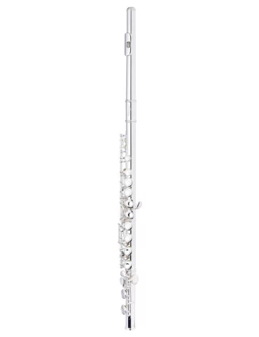  STAGG WS-FL211S C Flute, closed holes, offset G, split E|MusicGoodDeal 