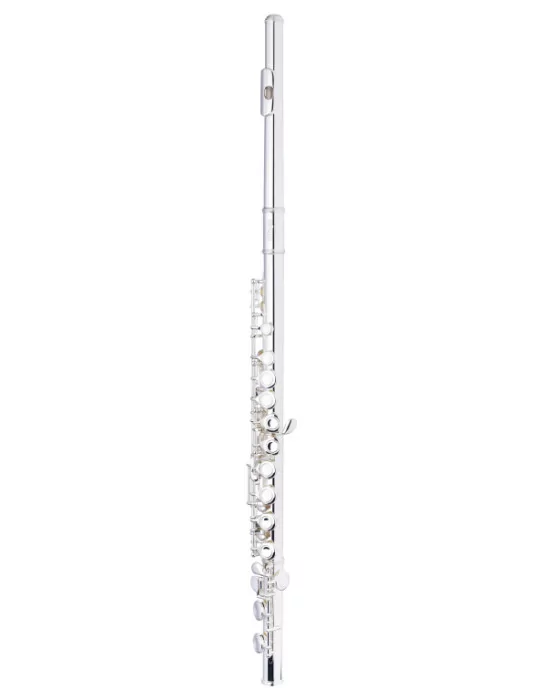  STAGG WS-FL211S C Querflöte geschlossene Klappen vorgezogenes G versilbert|MusicGoodDeal 