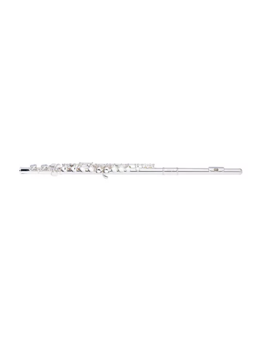  STAGG WS-FL211S C Querflöte geschlossene Klappen vorgezogenes G versilbert|MusicGoodDeal 
