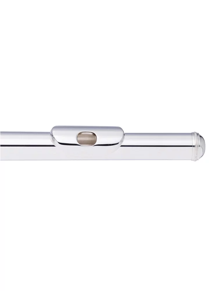  STAGG WS-FL211S C Querflöte geschlossene Klappen vorgezogenes G versilbert|MusicGoodDeal 