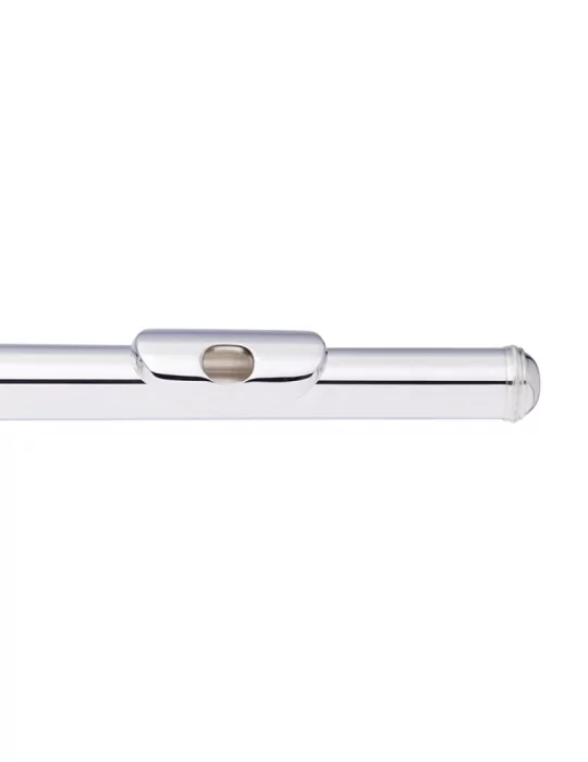  STAGG WS-FL211S C Querflöte geschlossene Klappen vorgezogenes G versilbert|MusicGoodDeal 