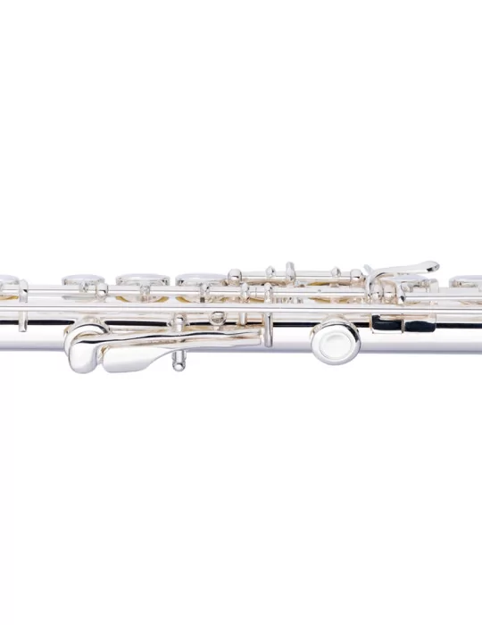  STAGG WS-FL211S C Querflöte geschlossene Klappen vorgezogenes G versilbert|MusicGoodDeal 