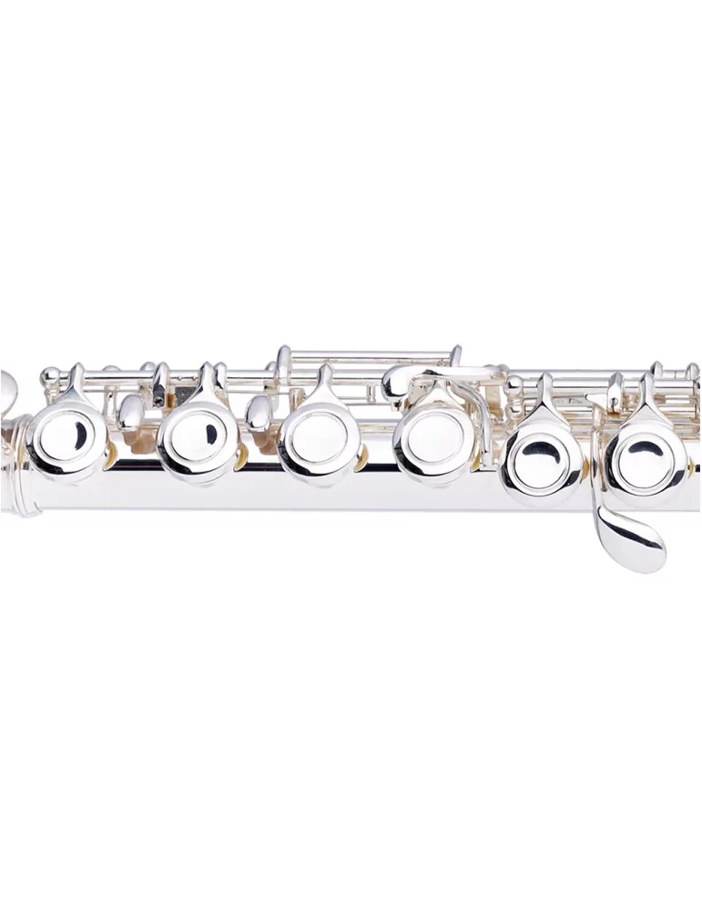  STAGG WS-FL211S C Querflöte geschlossene Klappen vorgezogenes G versilbert|MusicGoodDeal 