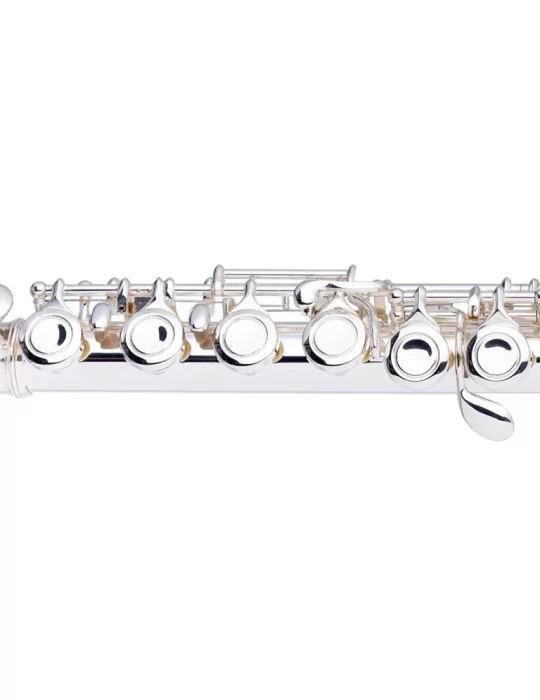  STAGG WS-FL211S C Querflöte geschlossene Klappen vorgezogenes G versilbert|MusicGoodDeal 