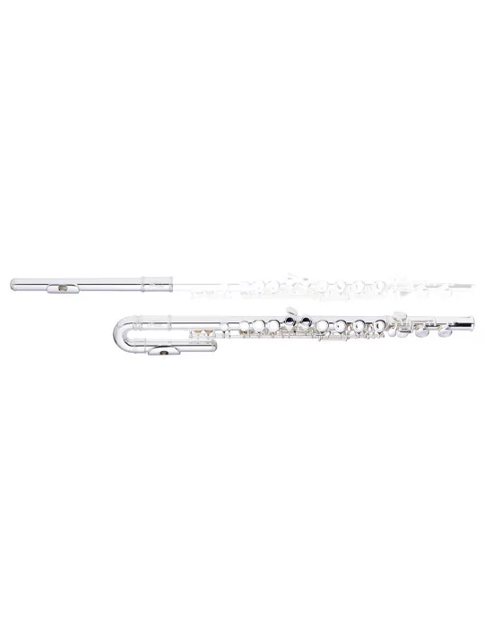  STAGG WS-FL221S C Querflöte 2 Kopfstücke (m. gebogenen) geschlossene Klappen vorgezogenes G versilbert|MusicGoodDeal 