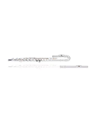 STAGG WS-FL221S C flute, 2 head joints w/curved, closed holes, offset G, split E|MusicGoodDeal  2