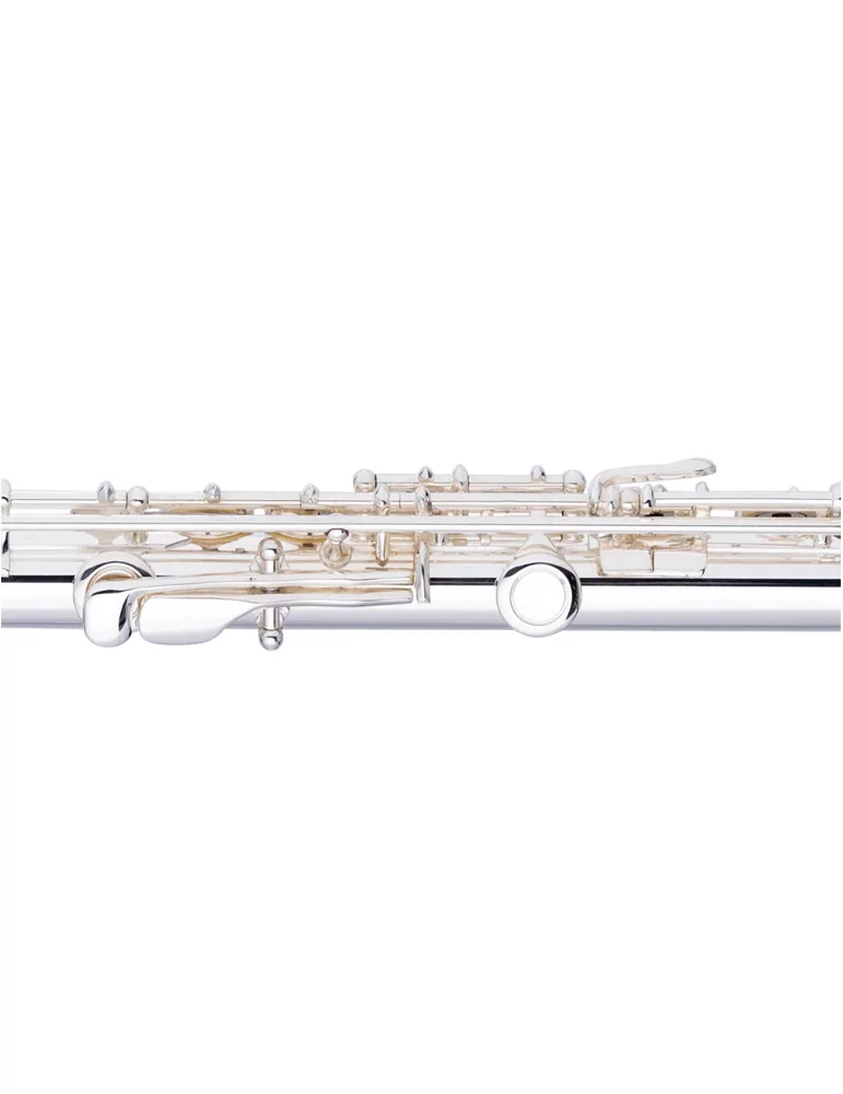  STAGG WS-FL221S C Querflöte 2 Kopfstücke (m. gebogenen) geschlossene Klappen vorgezogenes G versilbert|MusicGoodDeal 