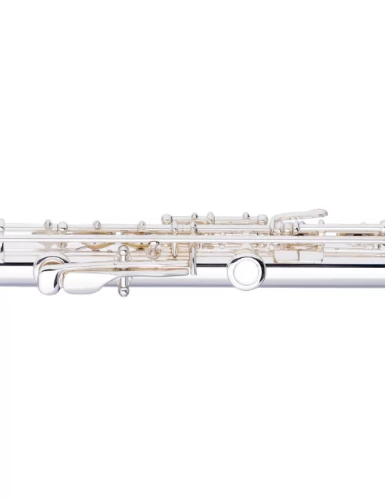  STAGG WS-FL221S C Querflöte 2 Kopfstücke (m. gebogenen) geschlossene Klappen vorgezogenes G versilbert|MusicGoodDeal 