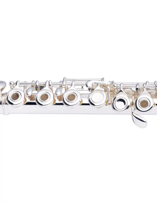  STAGG WS-FL241S C Flute, open holes, offset G, split E|MusicGoodDeal 