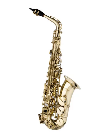  STAGG WS-AS215S Eb Alto Saxophone, in form case|MusicGoodDeal 