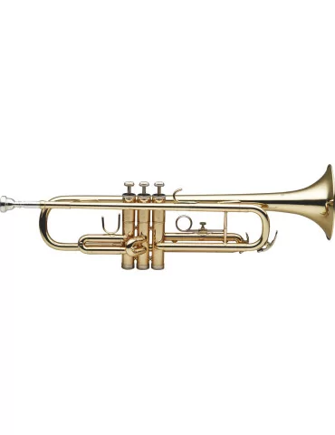  STAGG WS-TR215S Bb Trumpet, ML-bore, gold brass body|MusicGoodDeal 