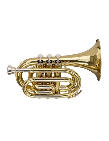  STAGG Trompette de poche en Sib, avec pavillon de trompette en sib standard|MusicGoodDeal 