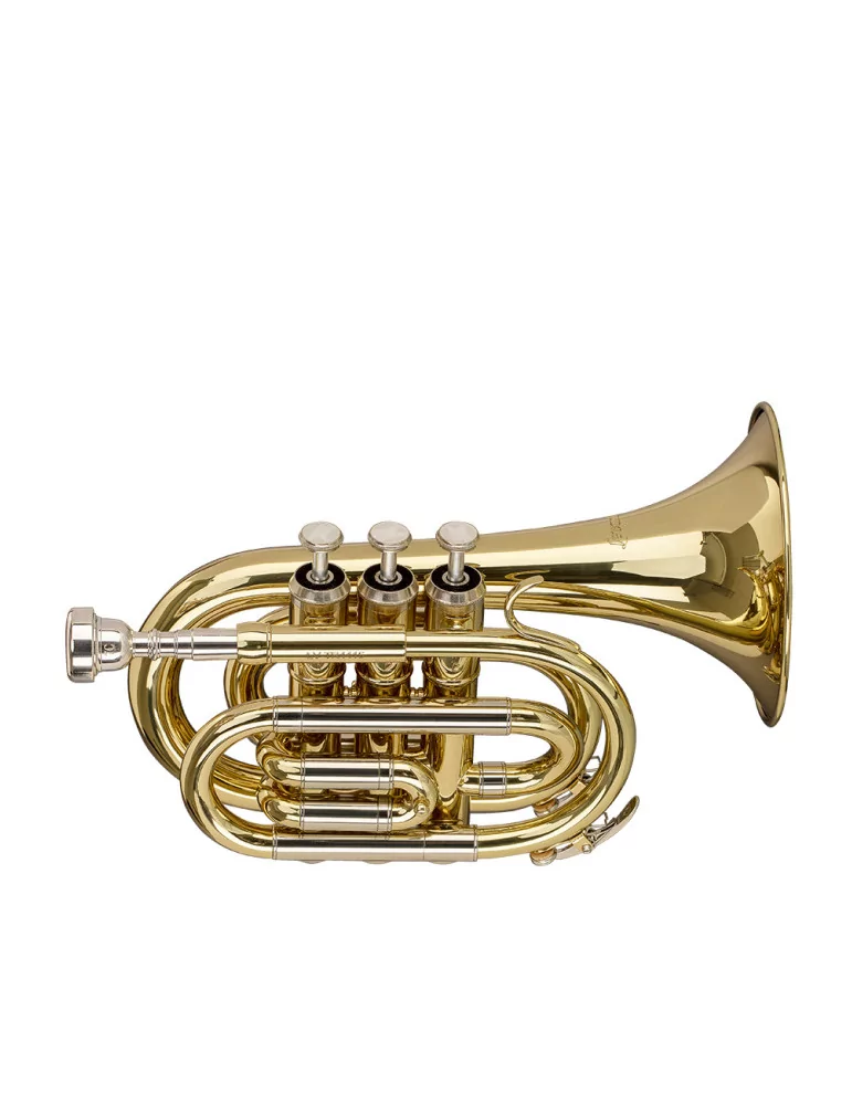  STAGG Trompette de poche en Sib, avec pavillon de trompette en sib standard|MusicGoodDeal 