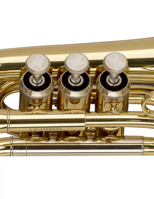  STAGG Trompette de poche en Sib, avec pavillon de trompette en sib standard|MusicGoodDeal 