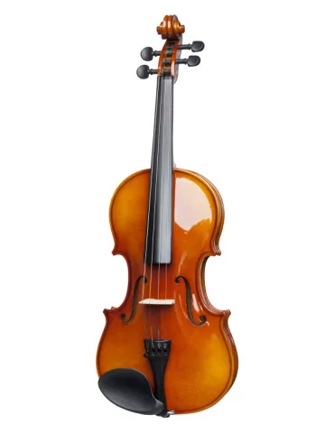  STAGG VN-4/4 4/4 solid maple violin with soft case|MusicGoodDeal  2