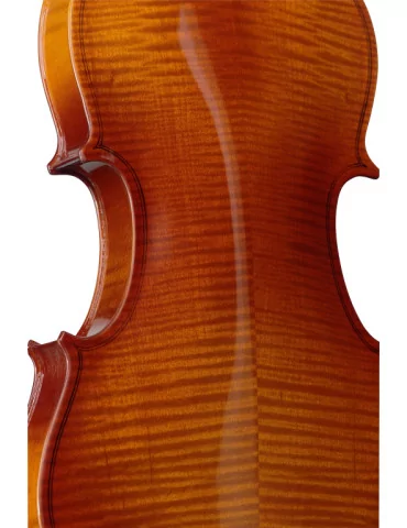  STAGG VN-4/4 L 4/4 Maple Violin with standard-shaped soft-case|MusicGoodDeal  2