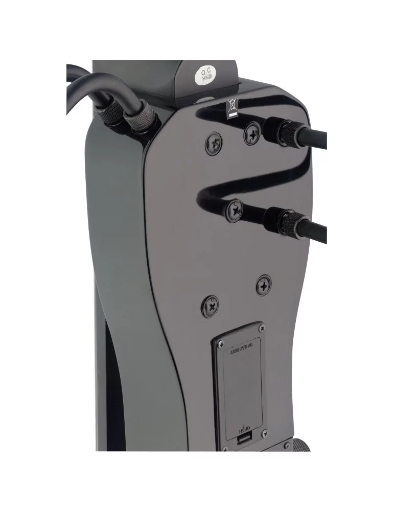  STAGG ECL 4/4 BK 4/4 electric cello with gigbag, black|MusicGoodDeal 