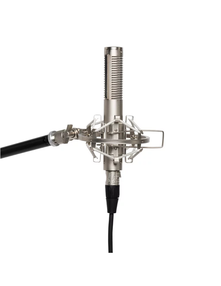  STAGG SRM70 Ribbon microphone|MusicGoodDeal 