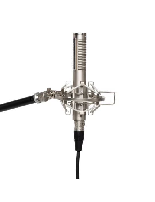 STAGG SRM70 Ribbon microphone|MusicGoodDeal 