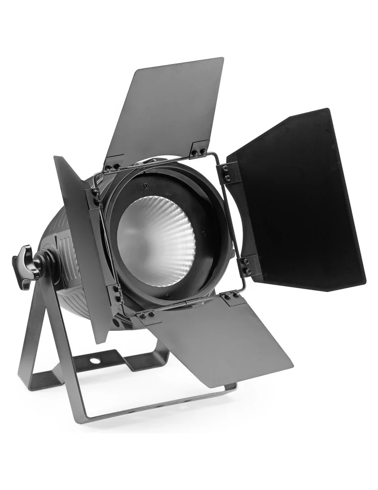  STAGG SLKP60C3-B-0 King PAR 60 with 1 x 60-watt RGB COB LED|MusicGoodDeal 