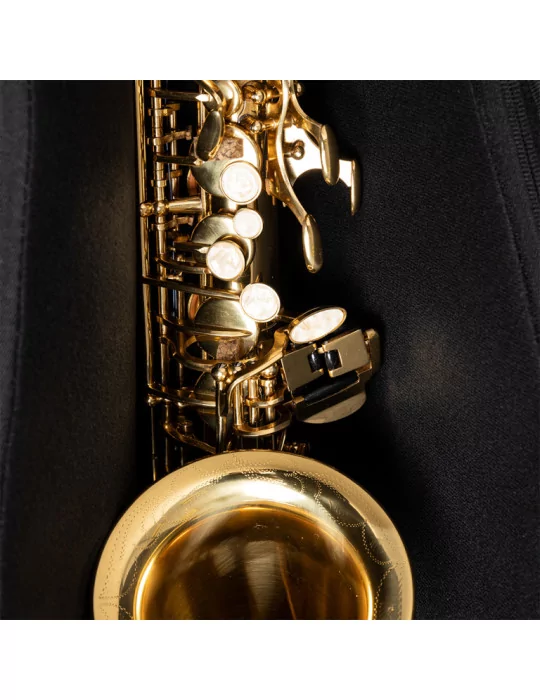  STAGG SB-AS-BK Bag for alto saxophone, black|MusicGoodDeal 