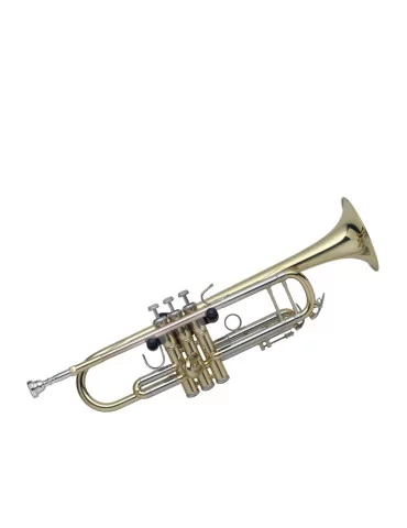  STAGG SLA-TRH Wall-mounted trumpet holder|MusicGoodDeal  2
