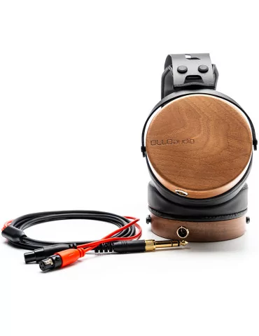 OLLO AUDIO R1 | MusicGoodDeal 2